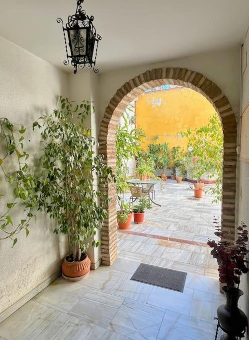 El Patio De Wallada Κόρδοβα Εξωτερικό φωτογραφία