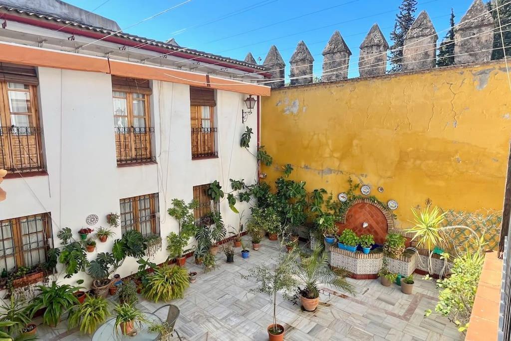 El Patio De Wallada Κόρδοβα Εξωτερικό φωτογραφία